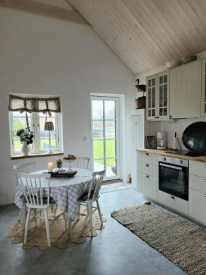 Mysigt hus i liten by nära havet, Ystad